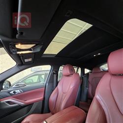 بي ام دبليو X6